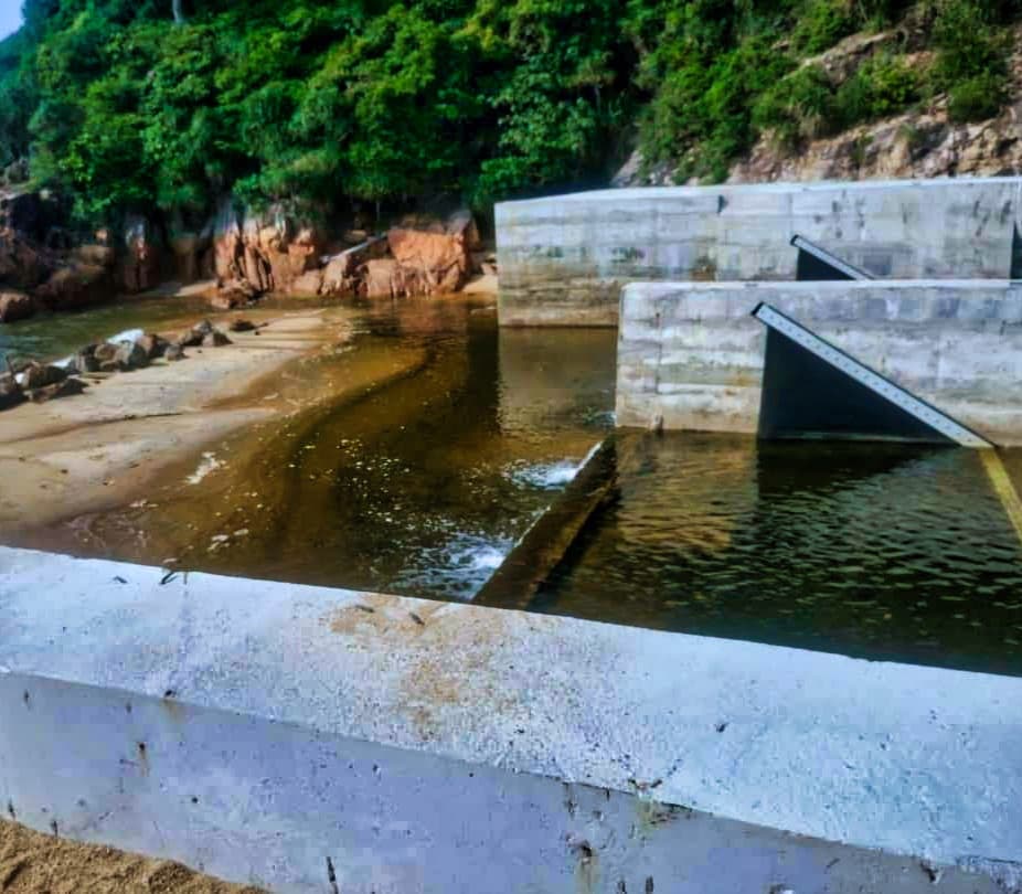 Projek Dungun
